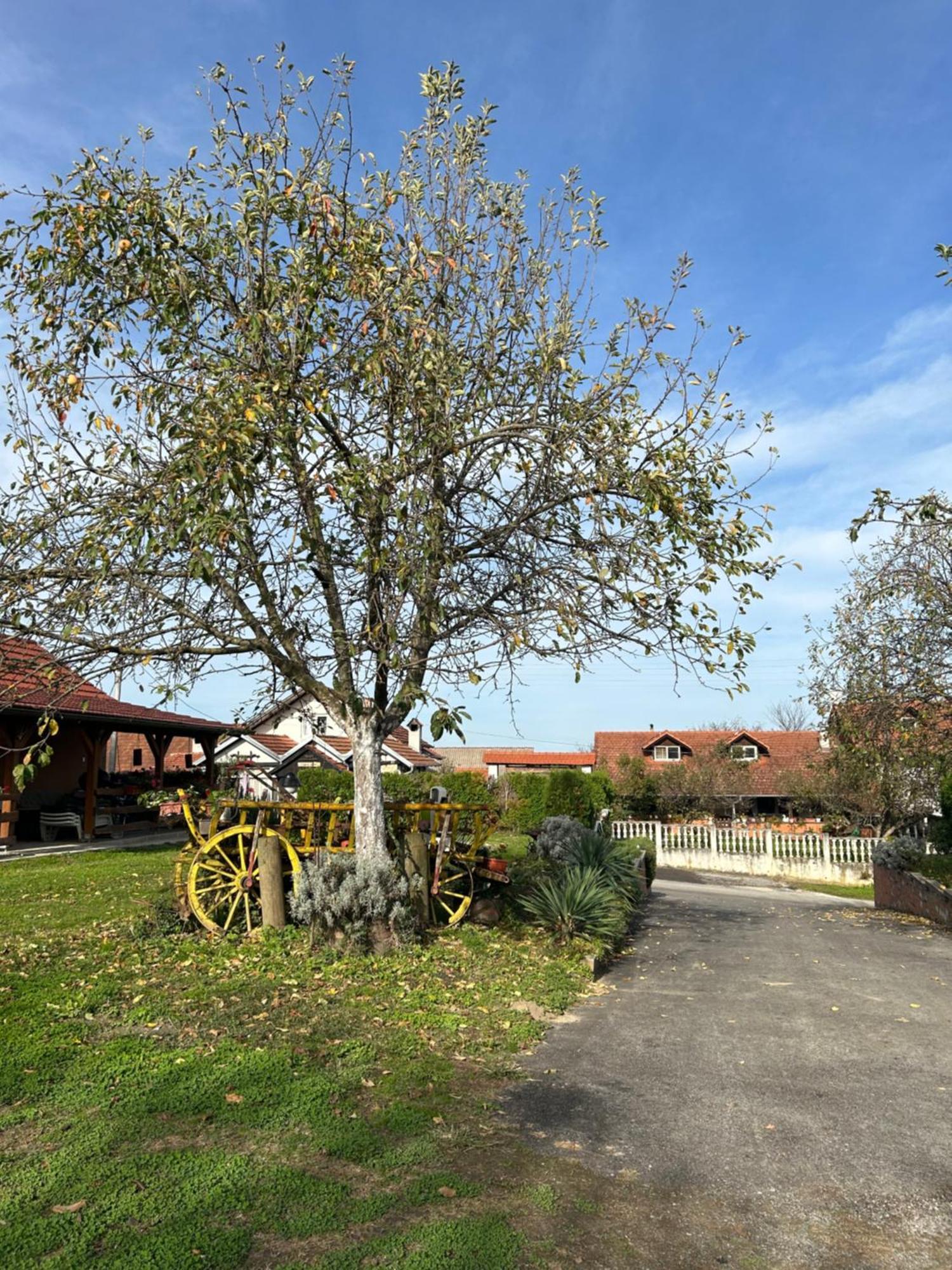 B&B Lukac Kutina Esterno foto